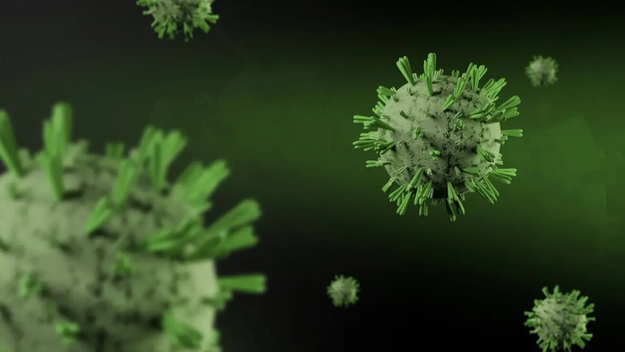 Misteri Hantavirus Di Kapal Pesiar Mv Hondius Berlanjut Swiss Laporkan Kasus Baru