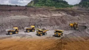 MNC Sekuritas Proyeksikan Potensi Cuan 36,5% di Saham PTBA