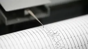 BMKG: Gempa M 4,7 Guncang Darat Sarmi, Papua pada Kedalaman 10 Km